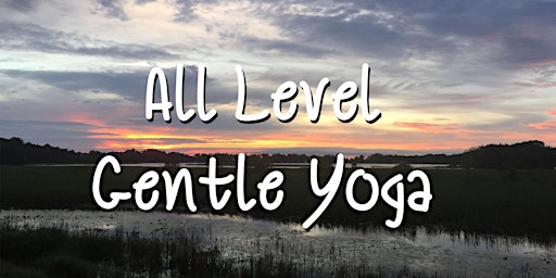 Immagine principale di All level Yoga, Tuesday 3:15 pm 