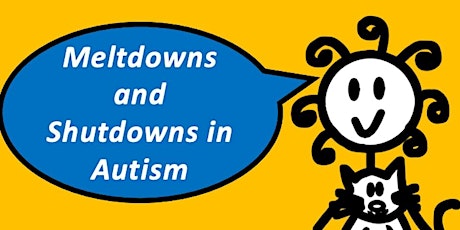 Immagine principale di Meltdowns & Shutdowns (1 hour webinar with Sam) 