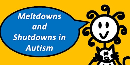 Primaire afbeelding van Meltdowns & Shutdowns (1 hour webinar with Sam)