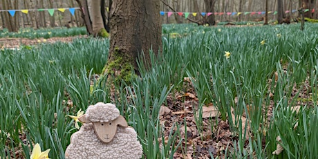 Woodsisters Forest School - April 13th 2024