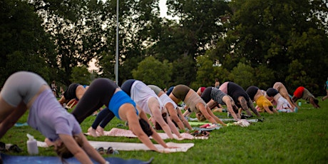 Yoga at Zilker / Swim @ Barton Springs