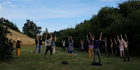 Online Qigong 4-Week Series (Donation Only)