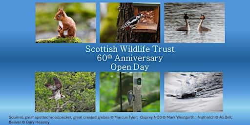 Primaire afbeelding van Scottish Wildlife Trust 60th Anniversary Open Day