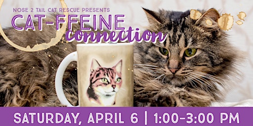 Imagen principal de CAT-ffeine Connection: Coffee, Tea, and Cat Cuddles