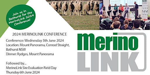 Imagem principal do evento MerinoLink 2024 Conference