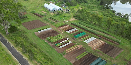 Hauptbild für An Organic Collaboration!