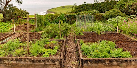 16th Street Community Teaching Garden: First Workparty