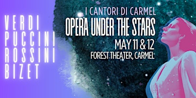 Imagen principal de I Cantori di Carmel presents Opera under the Stars