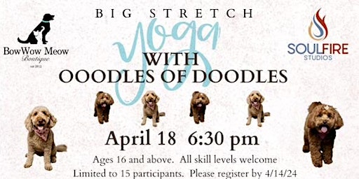 Primaire afbeelding van Big Stretch Yoga with Ooodles of Doodles