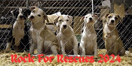 Immagine principale di Rock for Rescues 2024 Sunbury, PA 