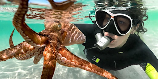 School Holidays: Octopuses: Underwater Wonders - Hastings Library primary image