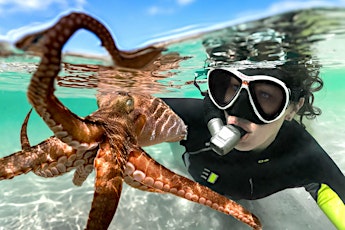 School Holidays:Octopuses: Underwater Wonders - Rosebud Library