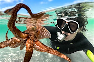 Imagem principal do evento School Holidays:Octopuses: Underwater Wonders - Rosebud Library