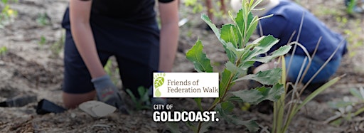 Imagen de colección para  Friends of Federation Walk Tree Plant