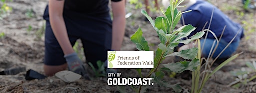 Afbeelding van collectie voor Friends of Federation Walk Tree Plant