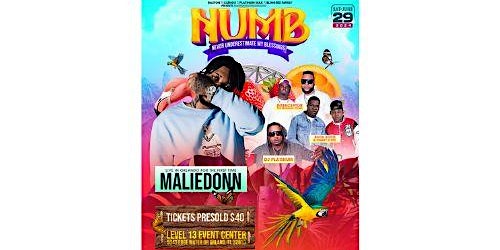 Imagen principal de NUMB | MALIE DONN LIVE FOR THE 1ST TIME IN ORLANDO