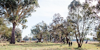 Hauptbild für Natural Capital Conversations – Creating value from your natural assets