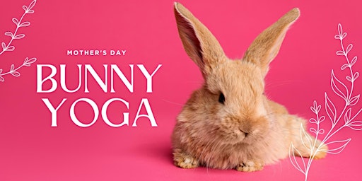Imagem principal do evento Mother's Day Bunny Yoga