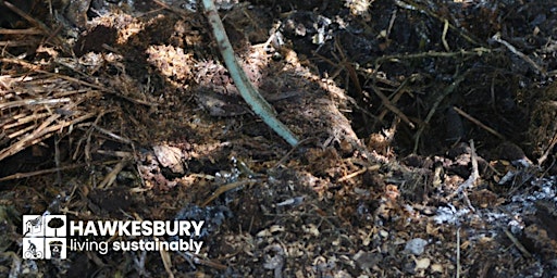 Primaire afbeelding van FREE  Hawkesbury Composting Workshop