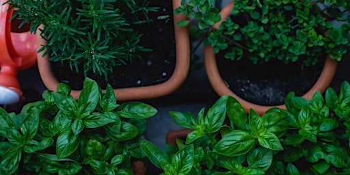 Hauptbild für Herb Enchantment