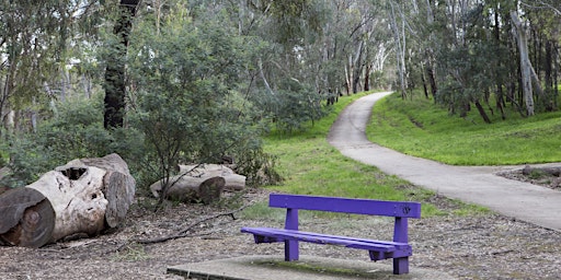 Immagine principale di City Nature Challenge 2024 at Fez's Wetland 