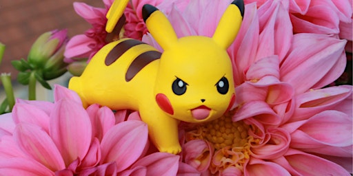 Hauptbild für Pocket Pokémon Diorama - HJ Daley Library