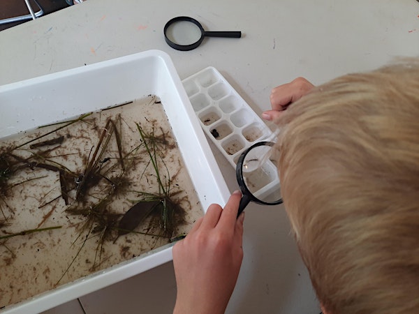 NaturallyGC Kids - Waterbugs Under the Microscope
