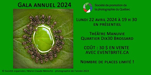 Primaire afbeelding van SPPQ - Gala annuel 22 avril 2024