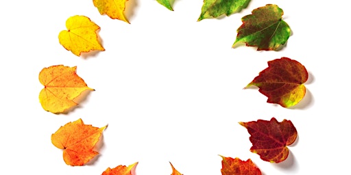 Imagen principal de Seasonal circles - Autumn Equinox