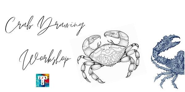 Crab drawing workshop