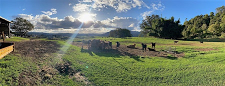 Sundowners @ Nimbin Valley Dairy  primärbild