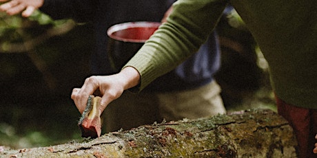 Discover the Ancient Art of Outdoor Mushroom Cultivation