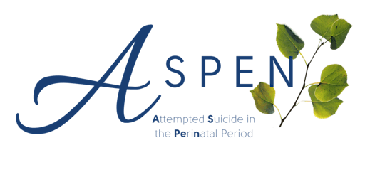 Hauptbild für Suicide prevention for new and expectant mothers