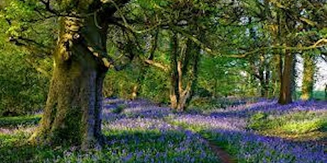 Wellbeing walk meet up for autistic adults