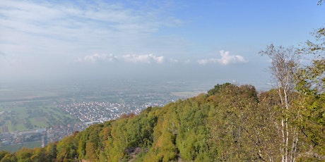 Do,09.05.24 Wanderdate Schauenburg, Strahlenburg +Ölberg in Schriesheim 50+