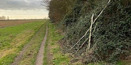 Footpath Walks in Burnham on Crouch