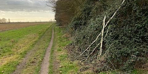 Hauptbild für Footpath Walks in Burnham on Crouch