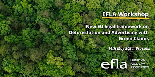 Imagem principal do evento EFLA Workshop 2024
