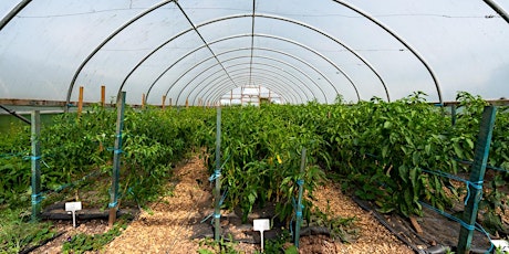 Hauptbild für Community Farmer Day - 1st June