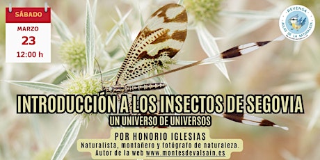 Introducción a los Insectos de Segovia. Por Honorio Iglesias.