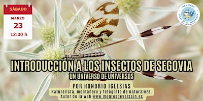 Imagen principal de Introducción a los Insectos de Segovia. Por Honorio Iglesias.