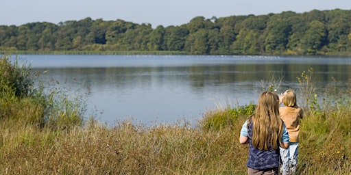 Aqualate Mere Family Wildlife Event primary image