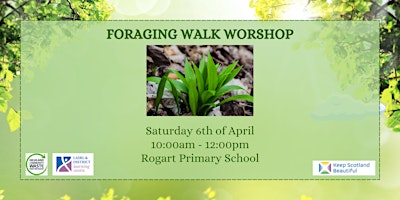 Foraging Walk Workshop