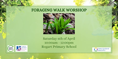 Foraging Walk Workshop primary image