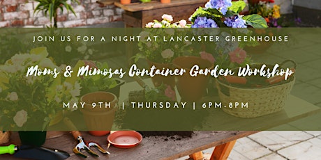 Moms & Mimosas Container Garden Workshop