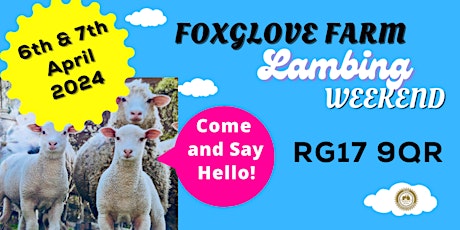 Foxglove Farm Lambing weekend