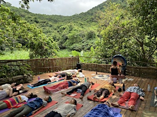 Sound Bath × Energy Healing, Breathwork & Community Brunch ◦ In The Jungle
