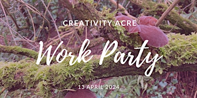 Imagen principal de Creativity Acre Work Party to clear deadwood and imagine its future.....