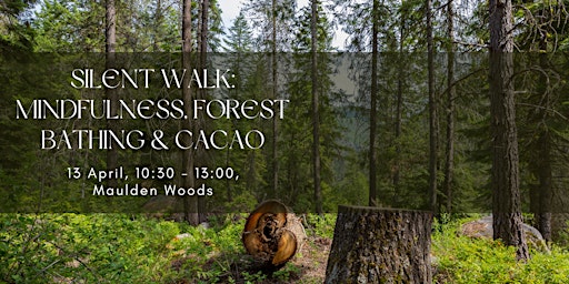 Primaire afbeelding van Immersive Silent Walk: Mindfulness, Forest Bathing & Cacao Experience
