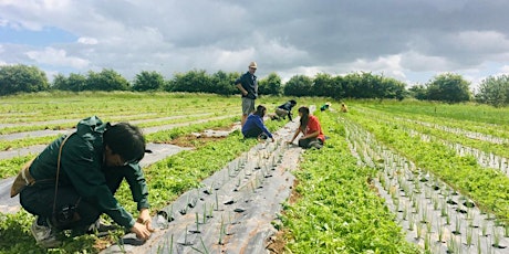 Community Farmer Day - 22nd June primary image